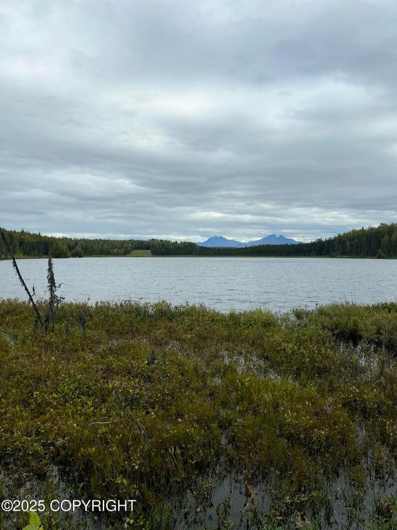 NHN W Hollywood Road, Wasilla, AK 99654