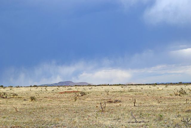 Lot 41 Sunset Vista Road, San Antonio, NM 87832