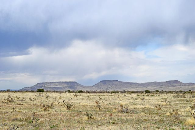 Lot 41 Sunset Vista Road, San Antonio, NM 87832