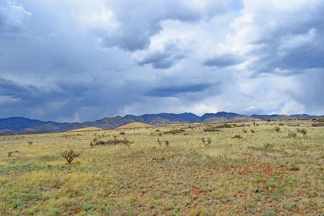 Lot 41 Sunset Vista Road, San Antonio, NM 87832