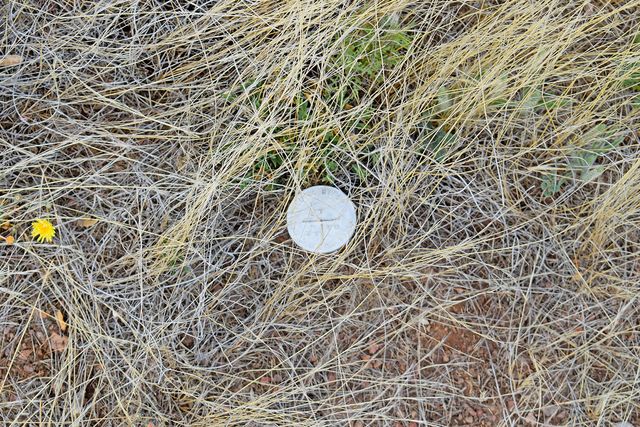 Lot 41 Sunset Vista Road, San Antonio, NM 87832