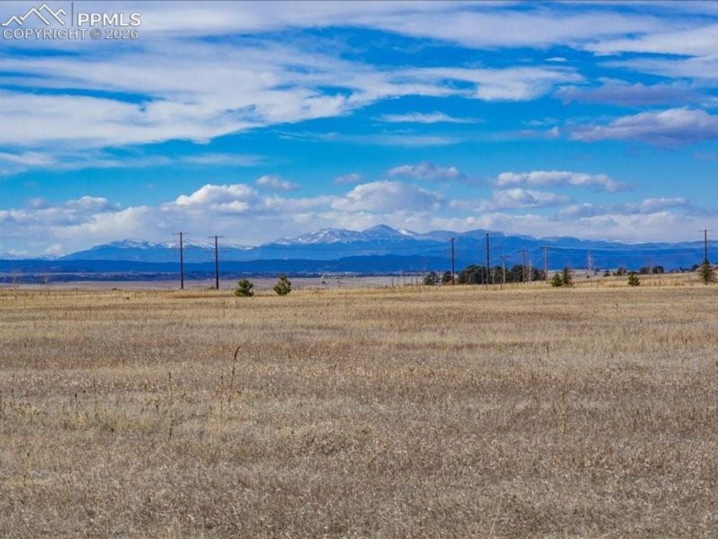 24950 Cave Spring Trail, Elbert, CO 80106 — photo 4