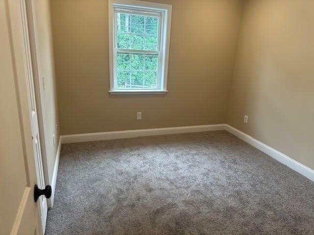 34 Carpenter Ave, Worcester, MA 01605