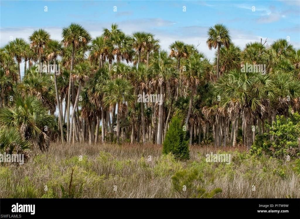 1143 20th AVE NE, Naples, FL 34120