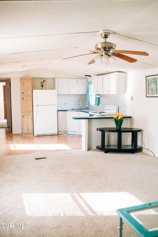 214 Telford New Victory Road, Telford, TN 37690
