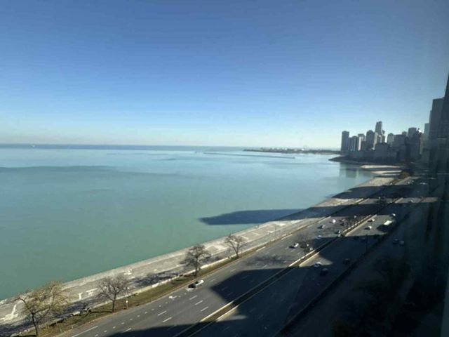 1440 N Lake Shore Drive 21E, Chicago, IL 60610