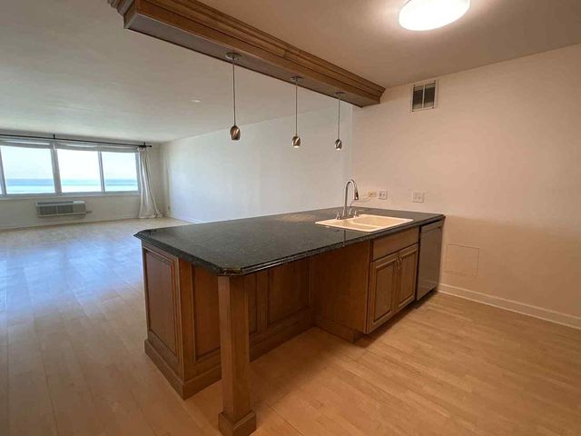 1440 N Lake Shore Drive 21E, Chicago, IL 60610