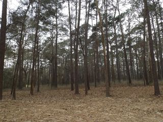 24018 Crooked Creek, Hockley, TX 77447