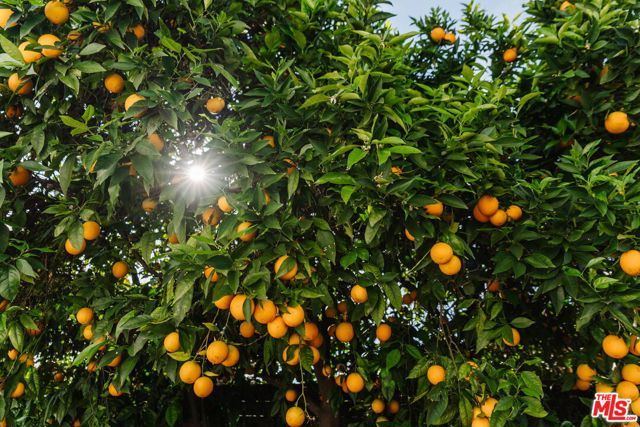 623 N Avenue 53, Los Angeles, CA 90042