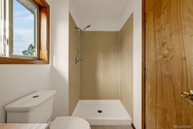 1080 Center Street, Woodland Park, CO 80863