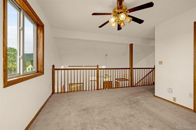 1080 Center Street, Woodland Park, CO 80863