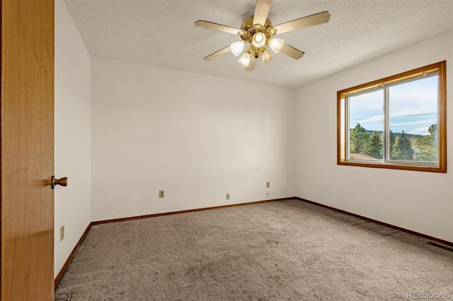 1080 Center Street, Woodland Park, CO 80863