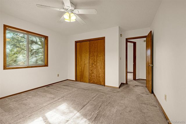 1080 Center Street, Woodland Park, CO 80863