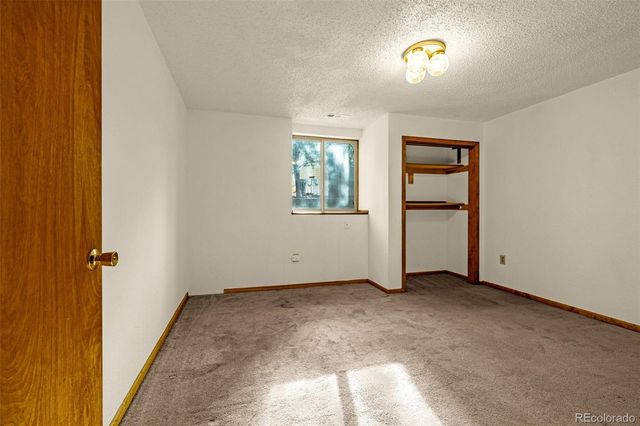 1080 Center Street, Woodland Park, CO 80863