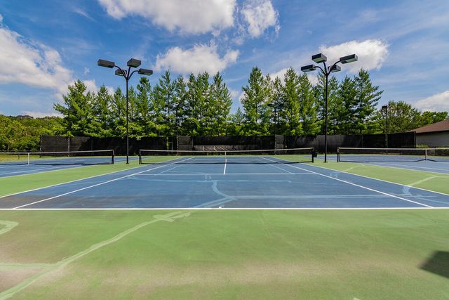 10 Olivia Court 105b, Branson West, MO 65737