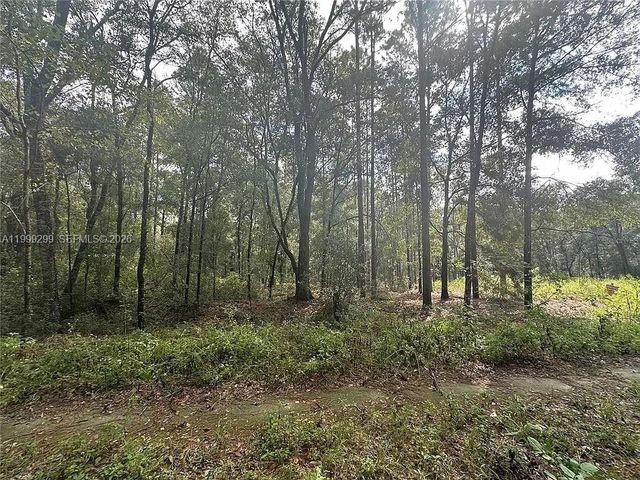 0 SW 153rd AVE, Ocala, FL 34481