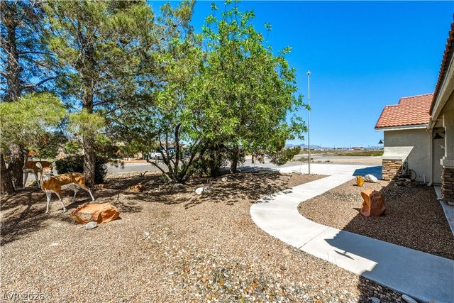 3001 South Torrey Pines Avenue, Pahrump, NV 89048