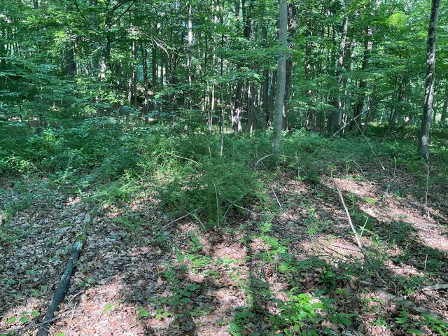 176 Picketts Ridge Road, Redding, CT 06896