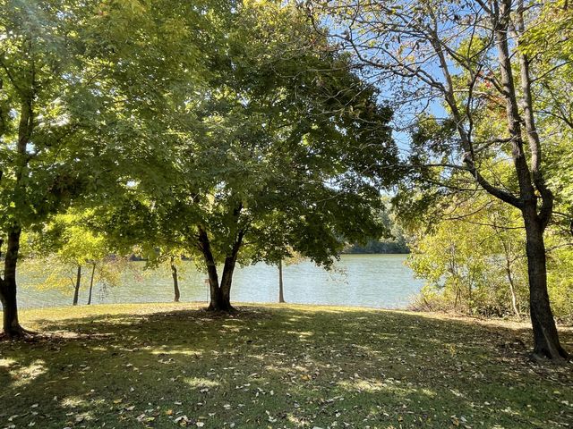 514 Lakeside Dr, Springfield, TN 37172