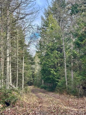 TBD Utah Road, Trenary, MI 49891