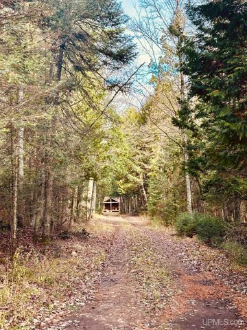 TBD Utah Road, Trenary, MI 49891