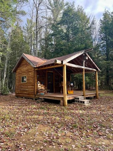 TBD Utah Road, Trenary, MI 49891