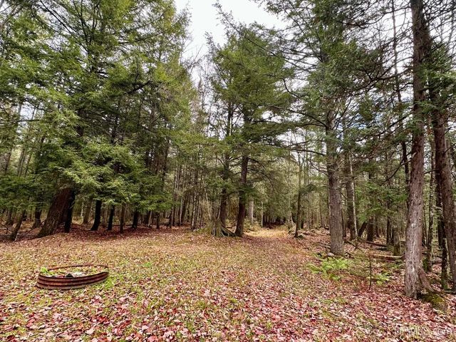 TBD Utah Road, Trenary, MI 49891