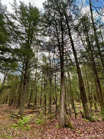 TBD Utah Road, Trenary, MI 49891