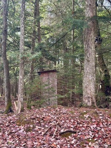 TBD Utah Road, Trenary, MI 49891