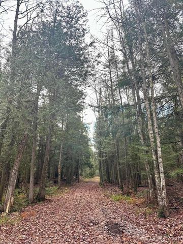 TBD Utah Road, Trenary, MI 49891