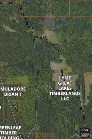 TBD Utah Road, Trenary, MI 49891
