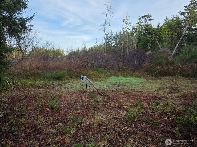 3011 202nd Street, Ocean Park, WA 98640