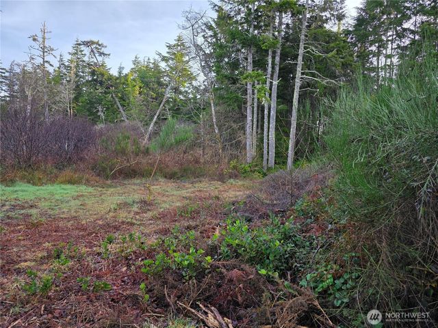 3011 202nd Street, Ocean Park, WA 98640