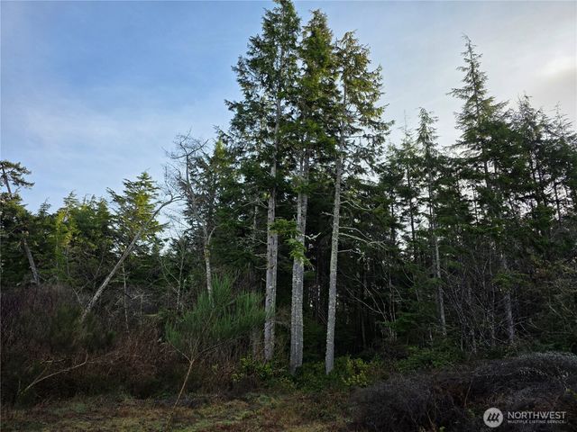 3011 202nd Street, Ocean Park, WA 98640