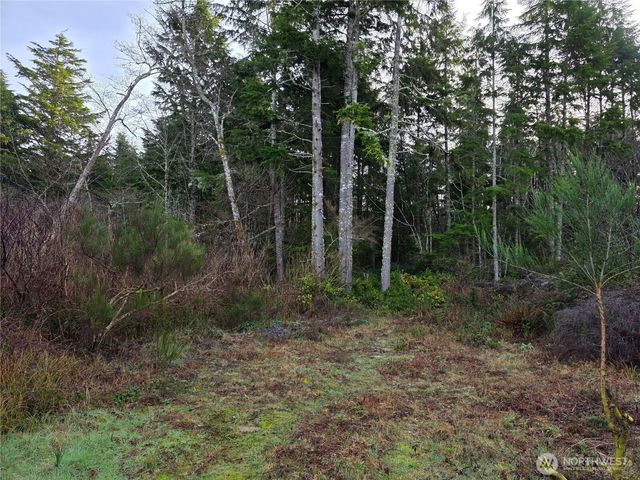 3011 202nd Street, Ocean Park, WA 98640