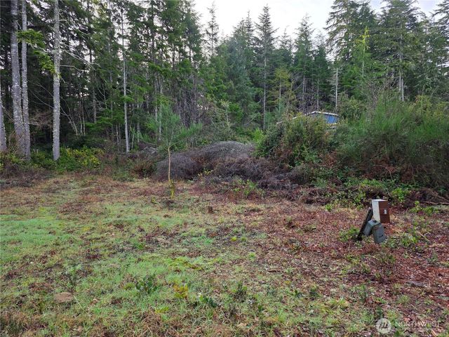 3011 202nd Street, Ocean Park, WA 98640