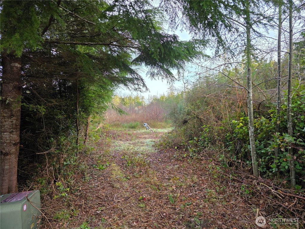 3011 202nd Street, Ocean Park, WA 98640