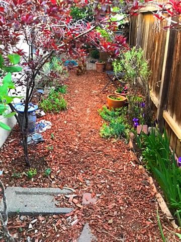 3228 Calle de Molina, Santa Fe, NM 87507
