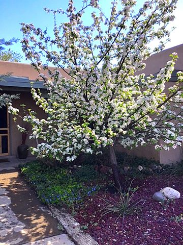 3228 Calle de Molina, Santa Fe, NM 87507