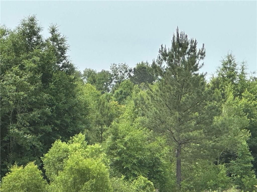 0 County Road 54, Daphne, AL 36526 — photo 2