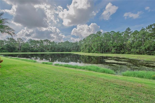 12119 BISHOPSFORD DRIVE, Tampa, FL 33626