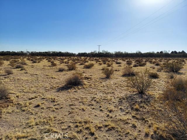 1 Valley Center Road, Newberry Springs, CA 92365