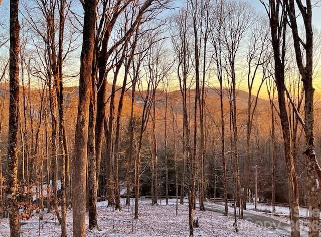 1067 English Ridge Drive, Mars Hill, NC 28754