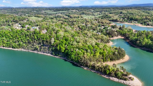 7366 Circle Point Drive, Talbott, TN 37877