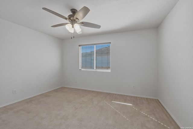 7810 Liberty Horse, Selma, TX 78154