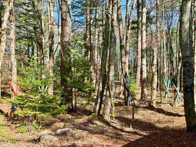 2659 NH Route 16, Albany, NH 03818