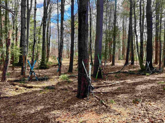 2659 NH Route 16, Albany, NH 03818