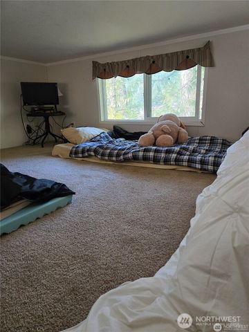 44832 Kloshe Chuck Trail, Concrete, WA 98237