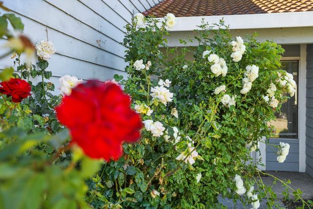 1122 Morning Dew Pl, Stockton, CA 95210