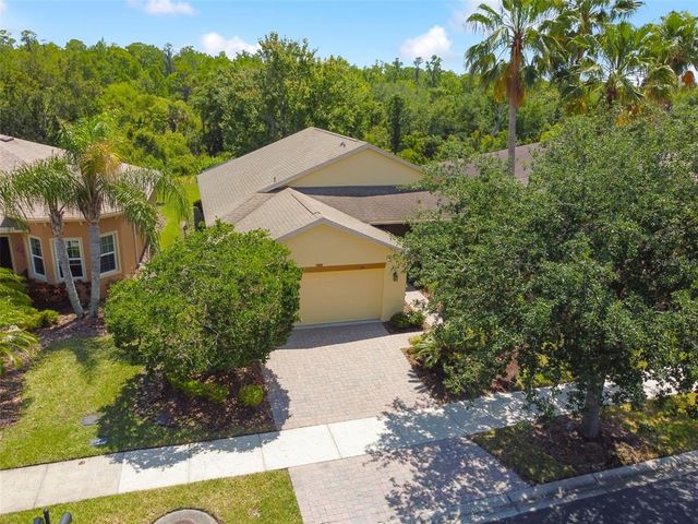 196 VENTANA DRIVE, Kissimmee, FL 34759